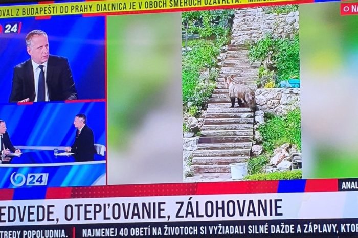 Spolu s medveďmi sa nám premnožili aj falošní medveďobijci!