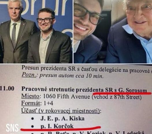 SNS dáva mimovládne organizácie pod kontrolu